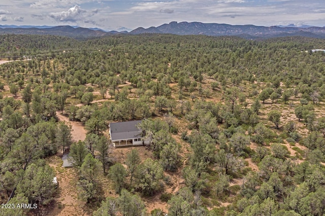 birds eye view of property featuring a mountain view