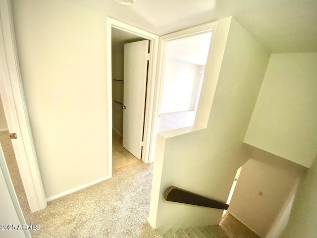 hallway featuring baseboards and carpet floors
