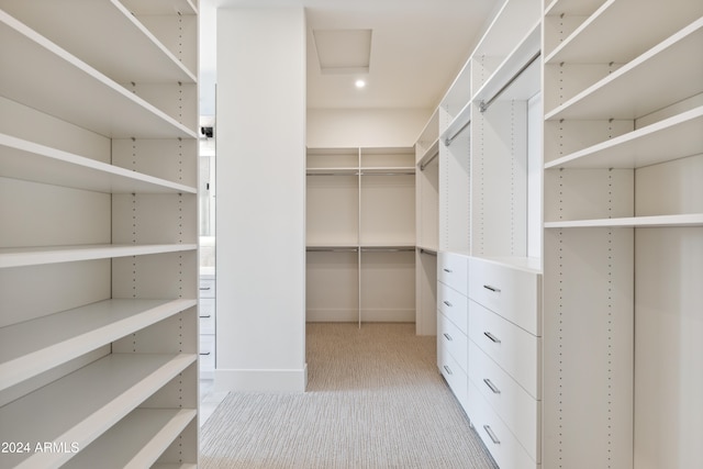 spacious closet with light colored carpet