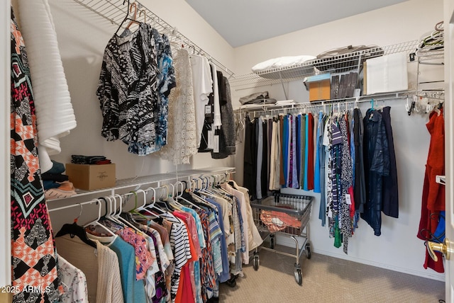 20394 N Coronado Way, Surprise, AZ 85374 - walk in closet with carpet flooring