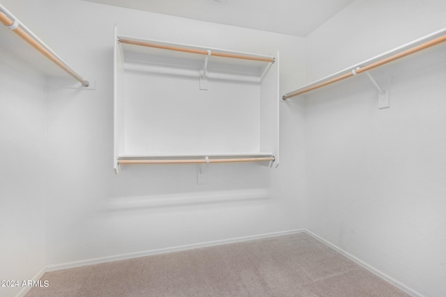 spacious closet featuring carpet