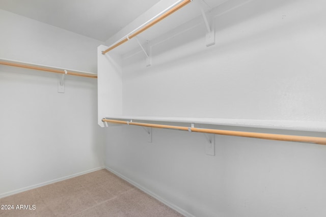 spacious closet with light carpet