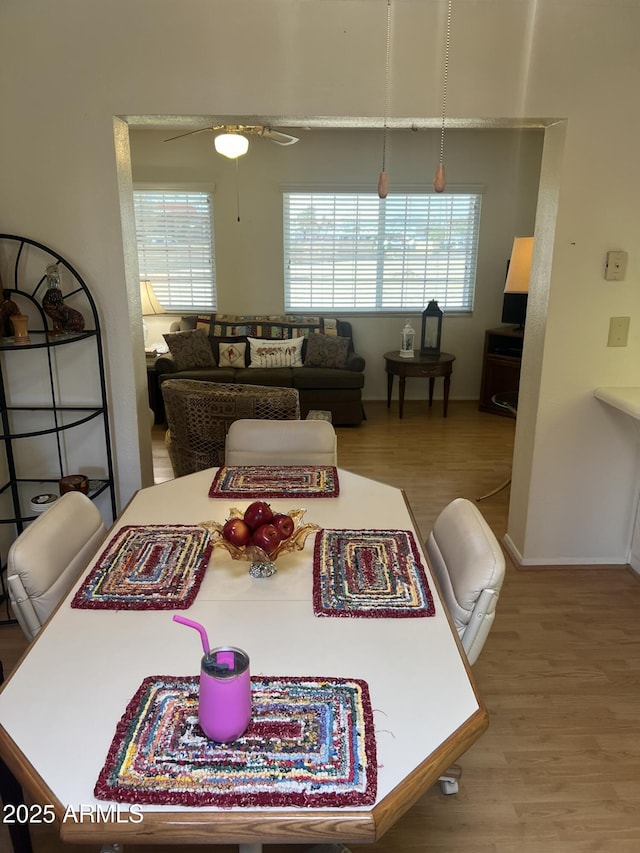 dining room with plenty of natural light, wood finished floors, and baseboards