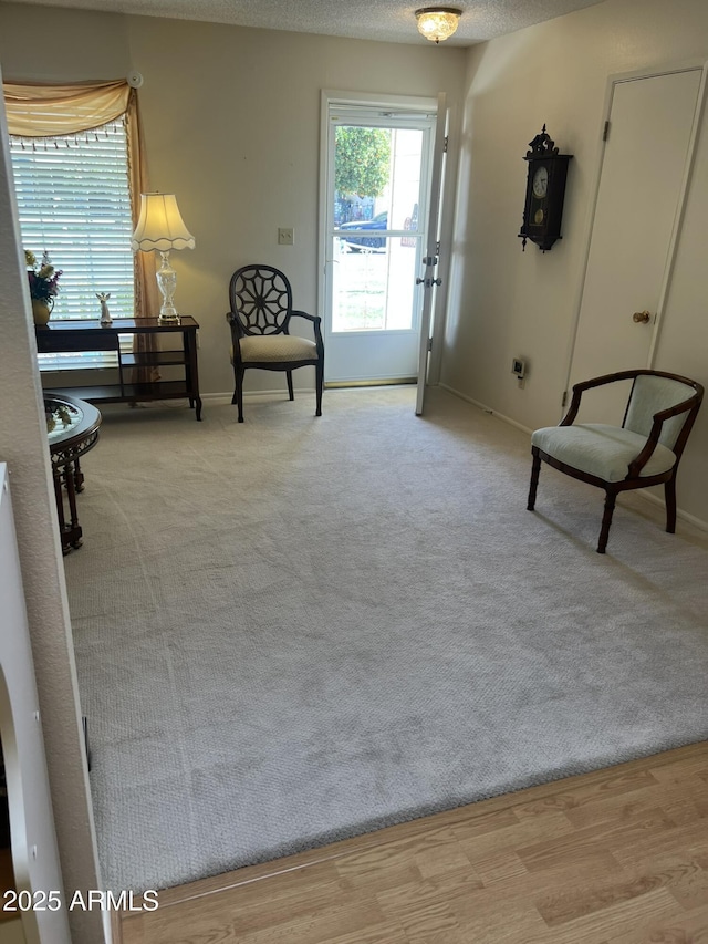 sitting room with carpet, a textured ceiling, and baseboards