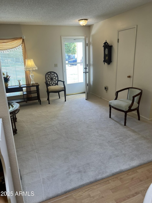 living area featuring baseboards, a textured ceiling, and carpet flooring