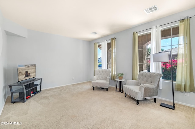 sitting room with light carpet and a wealth of natural light