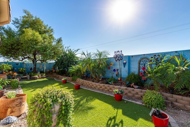 19104 N Smith Dr, Maricopa, AZ 85139 - view of yard with a fenced backyard
