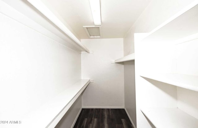 walk in closet with dark hardwood / wood-style floors