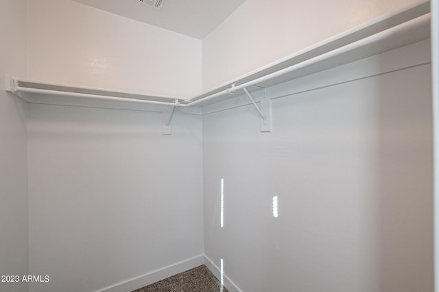 spacious closet featuring carpet flooring