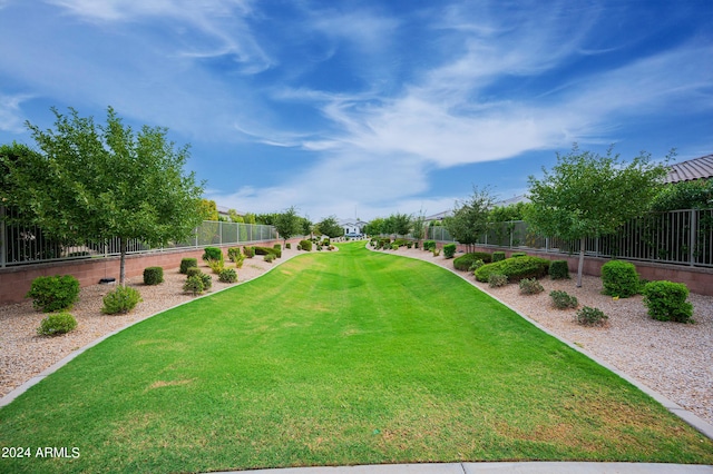 view of yard