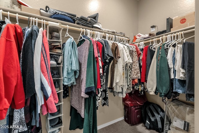 spacious closet with carpet