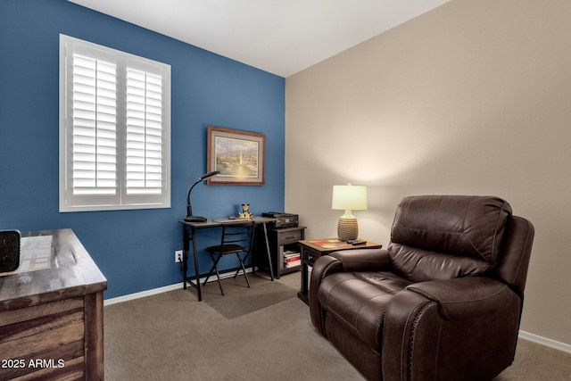 living area with carpet floors