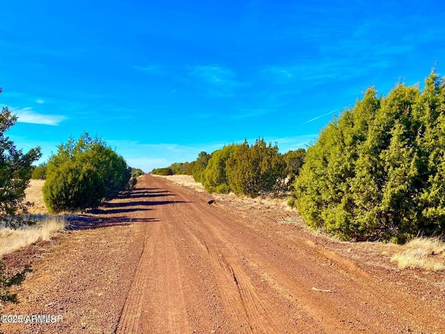 Listing photo 2 for TBD County Road 8305 -, Concho AZ 85924