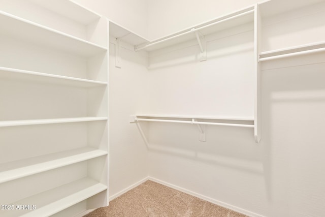 spacious closet with carpet