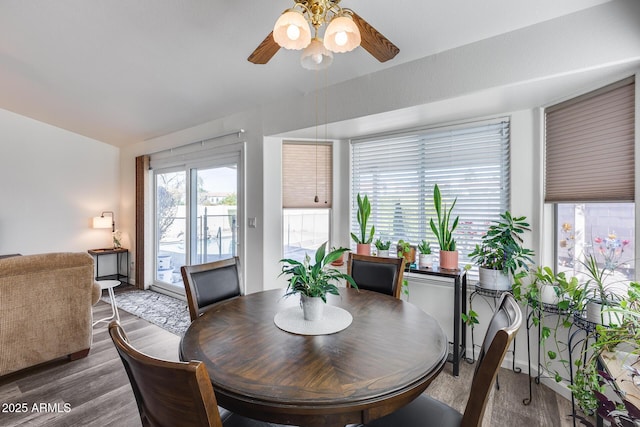 dining room featuring wood finished floors