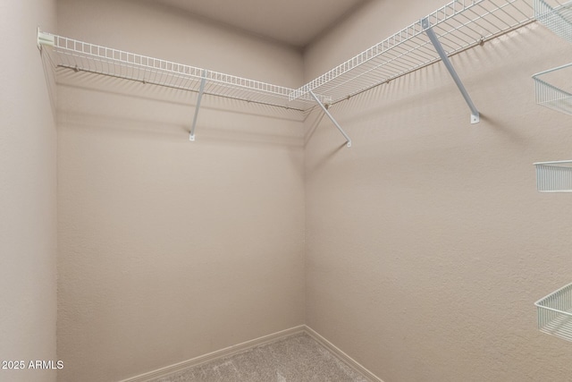 6902 W Devonshire Ave Unit 1280, Phoenix, AZ 85033 - walk in closet with carpet floors