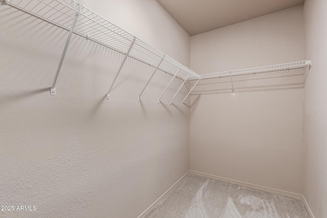 6902 W Devonshire Ave Unit 1280, Phoenix, AZ 85033 - walk in closet featuring carpet floors