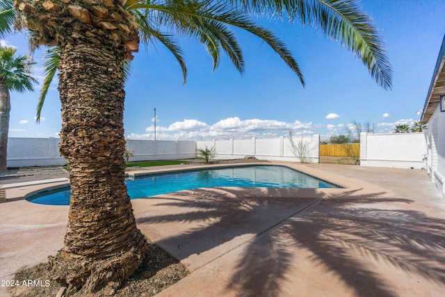 view of swimming pool with a patio area