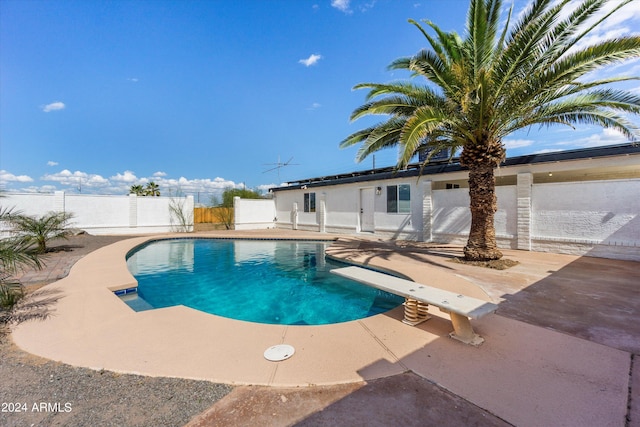 view of pool featuring a patio and a diving board