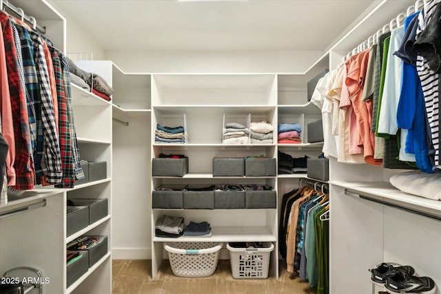 spacious closet featuring light carpet