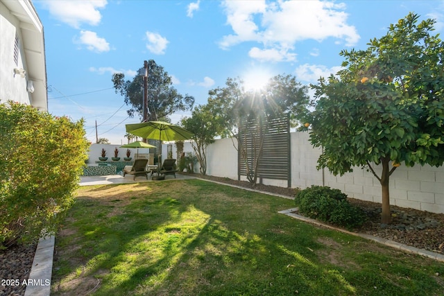 view of yard featuring a patio