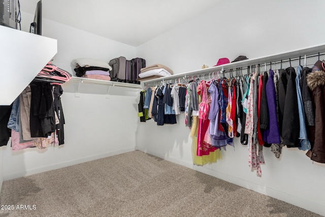 walk in closet featuring carpet floors