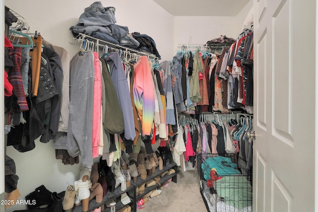 15050 N Thompson Peak Pkwy Unit 2072, Scottsdale, AZ 85260 - spacious closet featuring carpet flooring
