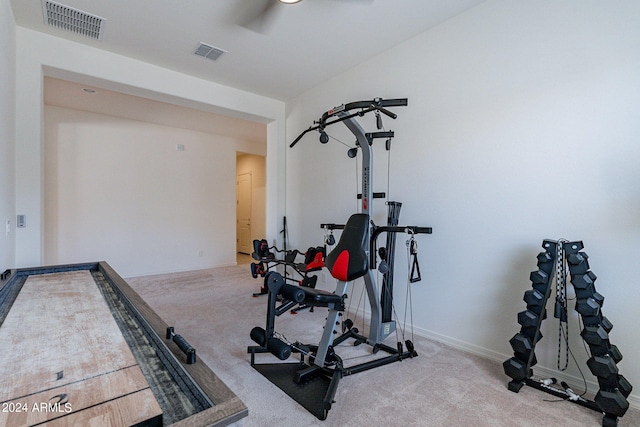 exercise area with light carpet