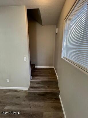 corridor with a healthy amount of sunlight and dark hardwood / wood-style flooring