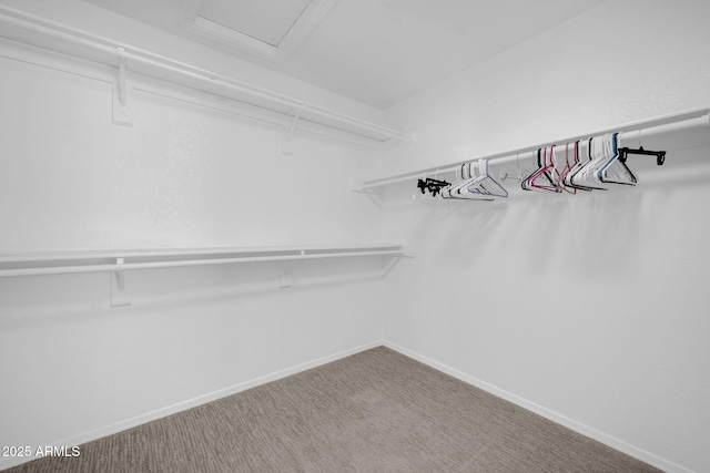 spacious closet with carpet