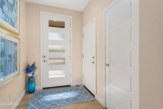 entrance foyer with light hardwood / wood-style flooring and a wealth of natural light