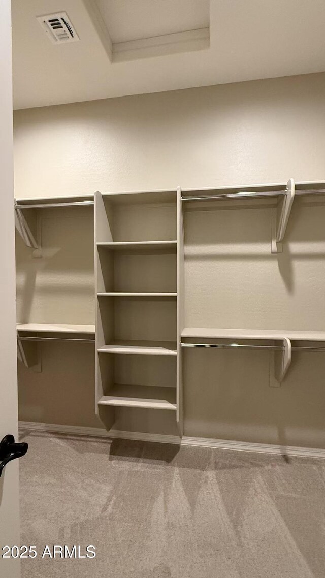2811 S Jeffry St, Gilbert, AZ 85295 - walk in closet featuring carpet floors
