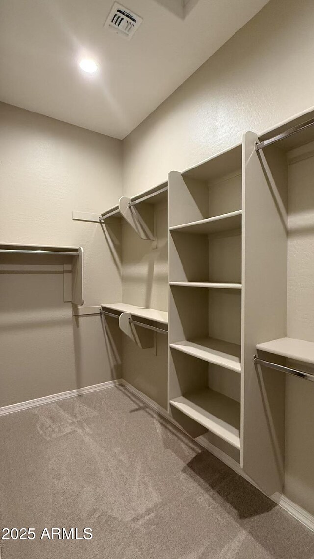 2811 S Jeffry St, Gilbert, AZ 85295 - spacious closet with carpet flooring