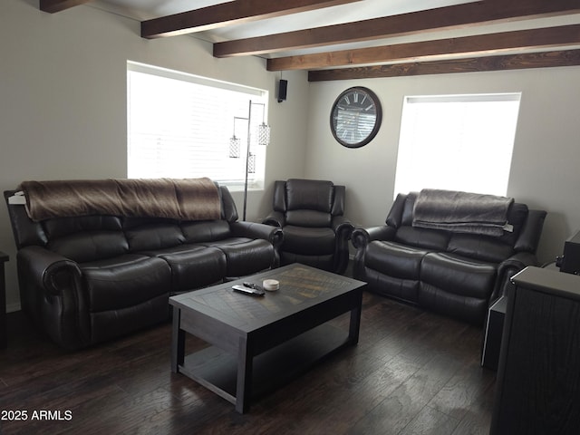 144 N Cactus Rd, Apache Junction, AZ 85119 - living room with beam ceiling, plenty of natural light, and dark wood finished floors