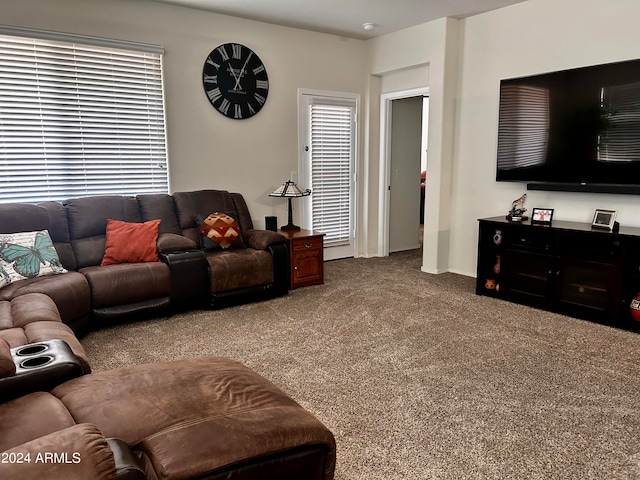 living room featuring carpet