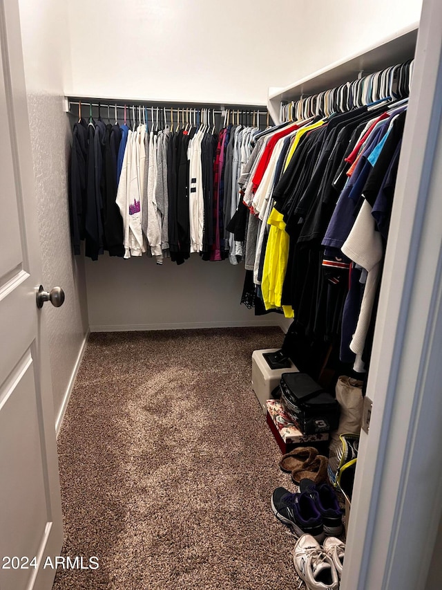 walk in closet with carpet