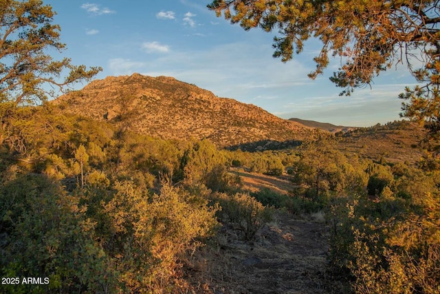 0 Love Ln -, Unit Prescott AZ, 86305 land for sale