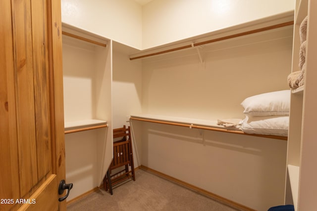 2721 W Snowberry Loop, Show Low, AZ 85901 - spacious closet featuring light carpet