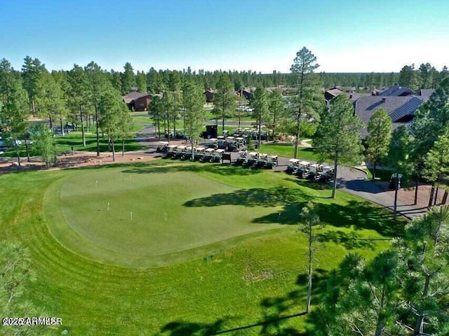 2721 W Snowberry Loop, Show Low, AZ 85901 - view of community featuring golf course view and a putting area