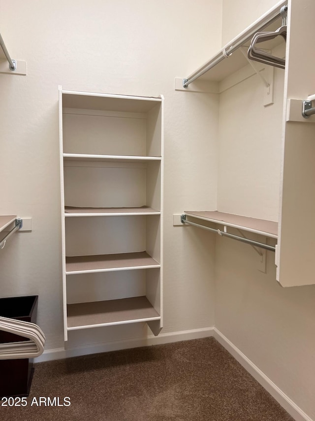 spacious closet with carpet flooring