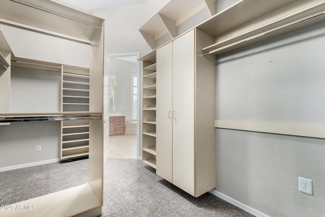 spacious closet with light colored carpet