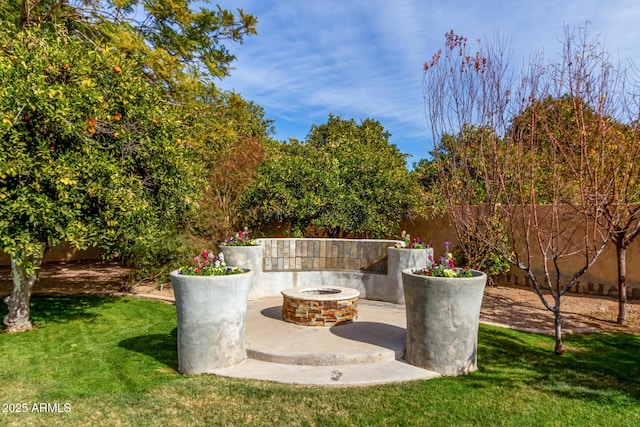 view of yard with a patio area and an outdoor fire pit