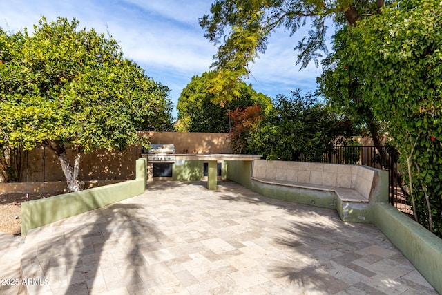 view of patio / terrace with grilling area and exterior kitchen