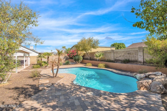 view of pool with a patio area, a fenced backyard, and a fenced in pool