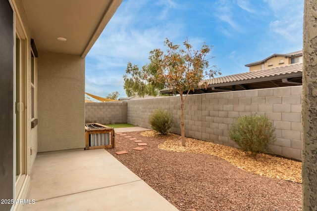 view of yard with a patio