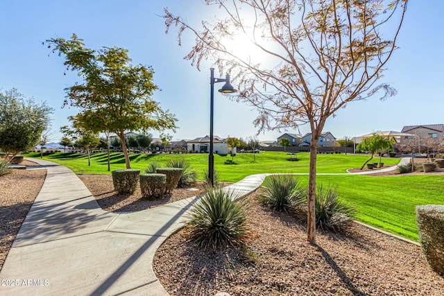 view of community with a lawn