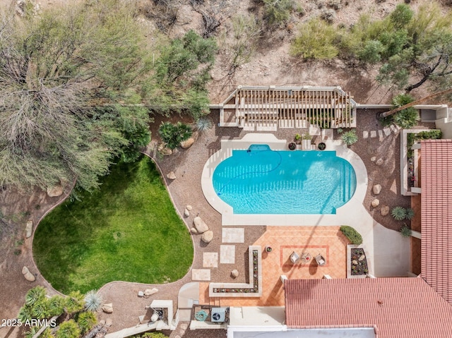 view of swimming pool