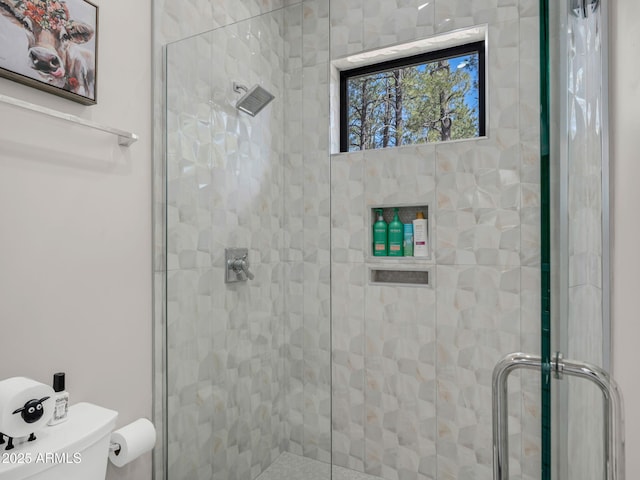 1137 Timbernook Xing, Williams, AZ 86046 - full bathroom with a shower stall and toilet