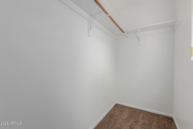 125 S 56th St Unit 124, Mesa, AZ 85206 - walk in closet with carpet