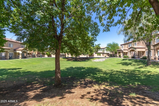 125 S 56th St Unit 124, Mesa, AZ 85206 - view of green lawn